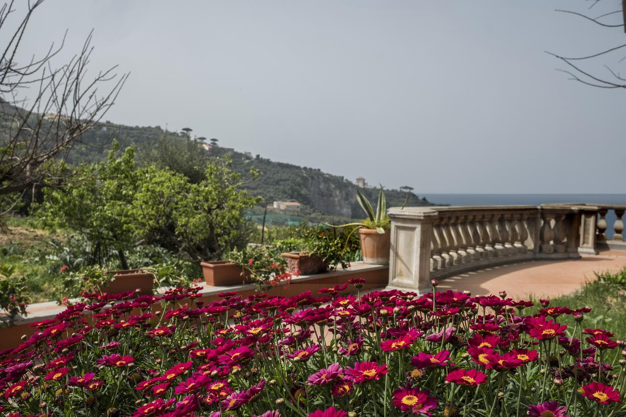 Faraglioni Di Sorrento Guesthouse Экстерьер фото